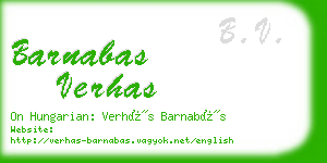 barnabas verhas business card
